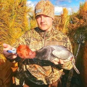 Meet your Posher, Sean